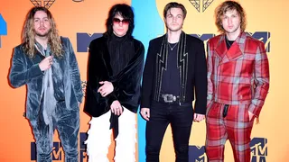 The Struts