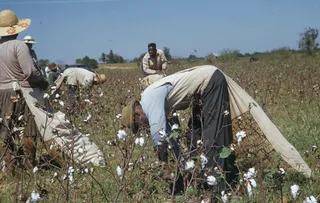 Tuskegee4.jpg