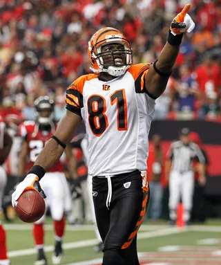 Back in the Game? - Terrell Owens has been given a shot to get back into the NFL and will practice with the Seattle Seahawks on Monday. Owens last played with the Cincinnati Bengals in the 2010 season and was last playing with the Allen Wranglers in the Indoor Football League.&nbsp;(Photo:&nbsp; Kevin C. Cox/Getty Images)