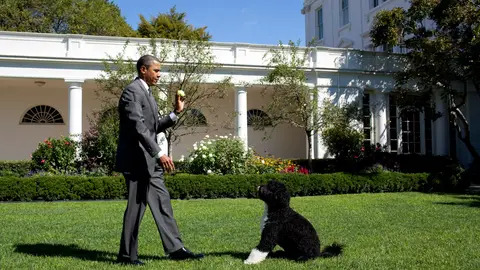 WASHINGTON - SEPTEMBER 09:  In this handout image provided by the White House, U.S. President Barack Obama throws a ball for Bo, the family dog, in the Rose Garden of the White House September 9, 2010 in Washington, DC.  (Photo by Pete Souza/The White House via Getty Images)