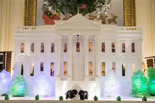 A Gingerbread White House - Bo and Sunny replicas enjoy the view outside a 420-pound gingerbread house.(Photo: AP Photo/Evan Vucci)