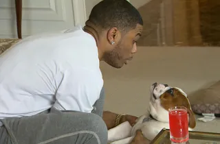 Man's Ultimate Best Friend - Nelly has a man-to-man moment with Leo the Bulldog.   (Photo: BET)