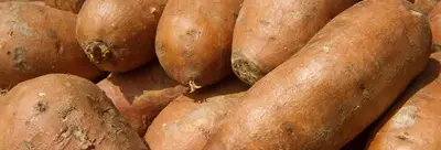 Sweet Potato - Indulging in a few sweet potatoes help keep our uterine walls healthy and strong. They’re packed with vitamins A and C, which are vital to keeping us active, vibrant and well energized with an increased sex drive.&nbsp;(Photo: PAUL J. RICHARDS/AFP/Getty Images)