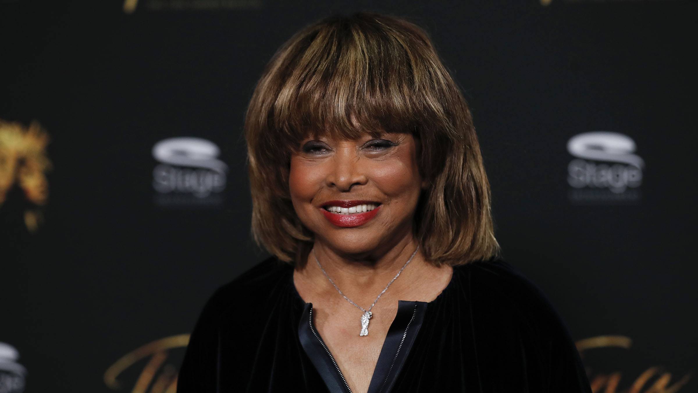 Tina Turner's Children: Everything to Know About the Music Legend's 4 Sons