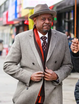 Forest Whitaker - The Academy Award winner got more than he bargained for in 2013 when he stopped in a New York City deli to buy a sandwich. An employee of the bodega frisked him in front of other patrons and accused him of stealing snacks. Whitaker was understandably angered by the situation but never received a formal apology. Guess this employee had never seen The Last King of Scotland.&nbsp; (Photo: PacificCoastNews.com)