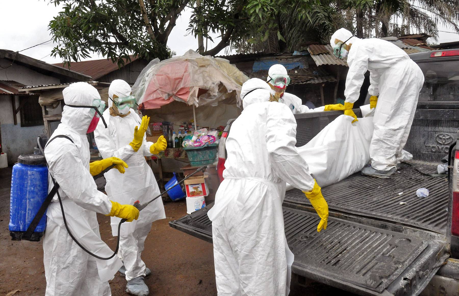 Ebola Deaths Could Reach 550,000 by January