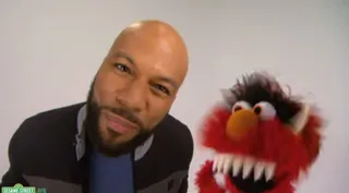 Common - Common teamed up with pop singer Colbie Calliat and performed the song &quot;Belly Breathe&quot; with the Sesame Street gang as they taught kids the importance of breathing and chilling out when they become frustrated and excited.(Photo: Sesame Workshop Productions)