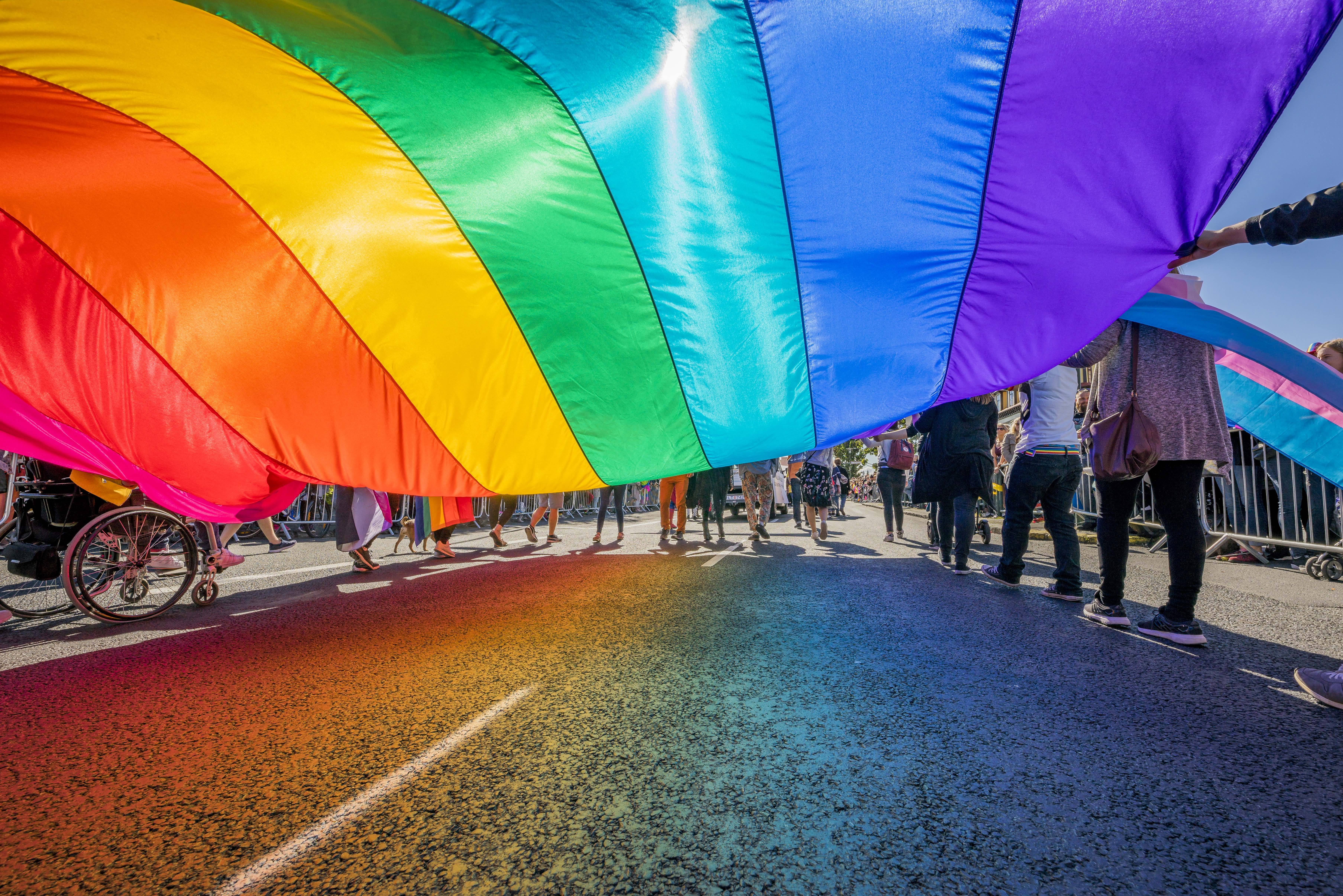 Some Angry Boston Fans Demand a Straight Pride Night After Red Sox Paint  Pitcher's Mound Rainbow • Instinct Magazine