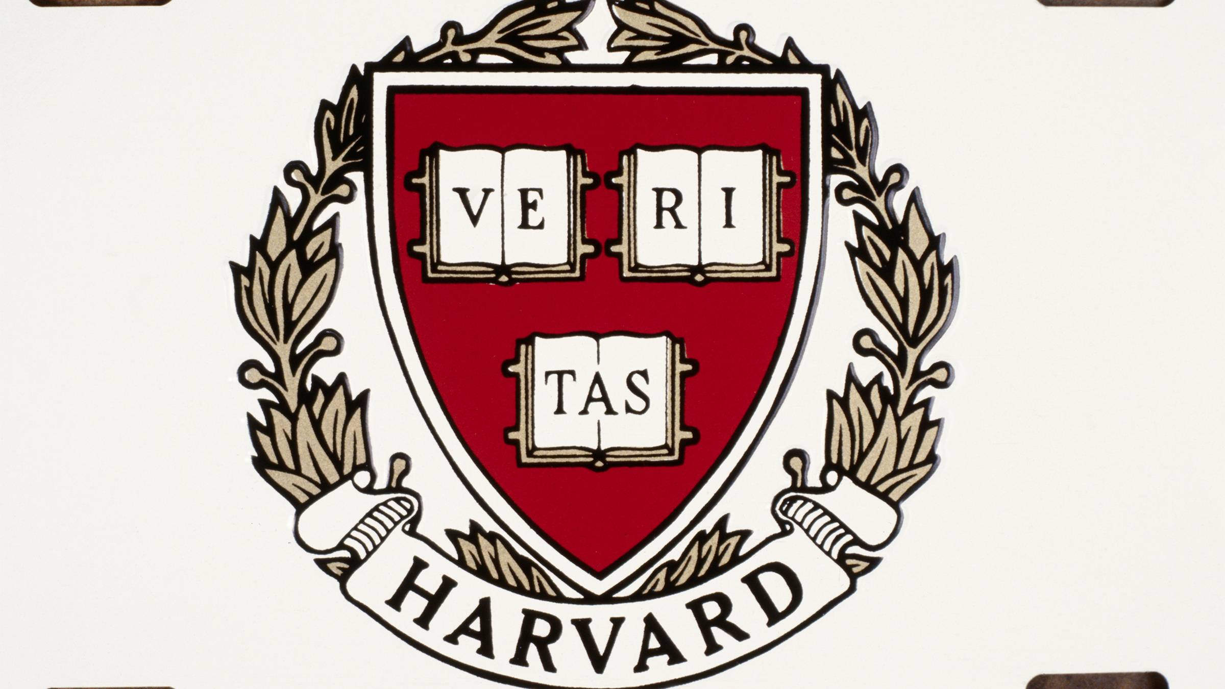 Harvard's board: We unanimously stand in support of President Gay