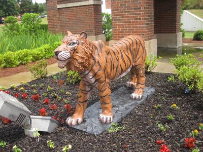 Grambling State to Build New Tiger Statue - Grambling State University has broken ground for a new tiger statue on campus. The sculpture will replace a flagpole outside Long-Jones Hall and the Eddie G. Robinson Museum. The statue will feature the school's mascot standing on its hind legs while raising its two front legs.&nbsp;(Photo: WikiCommons)