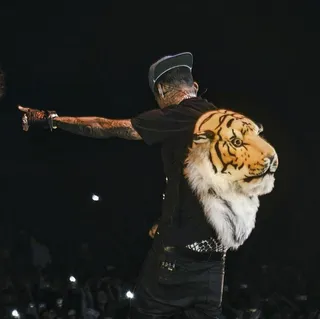 Eye of the Tiger - "So don't wake me up, from my dream don't wake me up But I got a quarter pound baby, you can weigh me up All my b*****s weigh a buck, 25 buck 40 Born bad like the army straight from California California All the way turnt up, white tee, pair of Chucks Let me re-design you, been that way since high school" — "California Dreamin'"  (Photo: Kid Ink via Instagram)