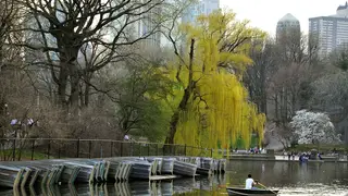 Central Park - The most visited city park in the United States, Manhattan's Central Park is a great change of pace from the day-to-day hustle and bustle. In 1963, Central Park was designated a National Historic Landmark. (Photo: Joe Corrigan/Getty Images)