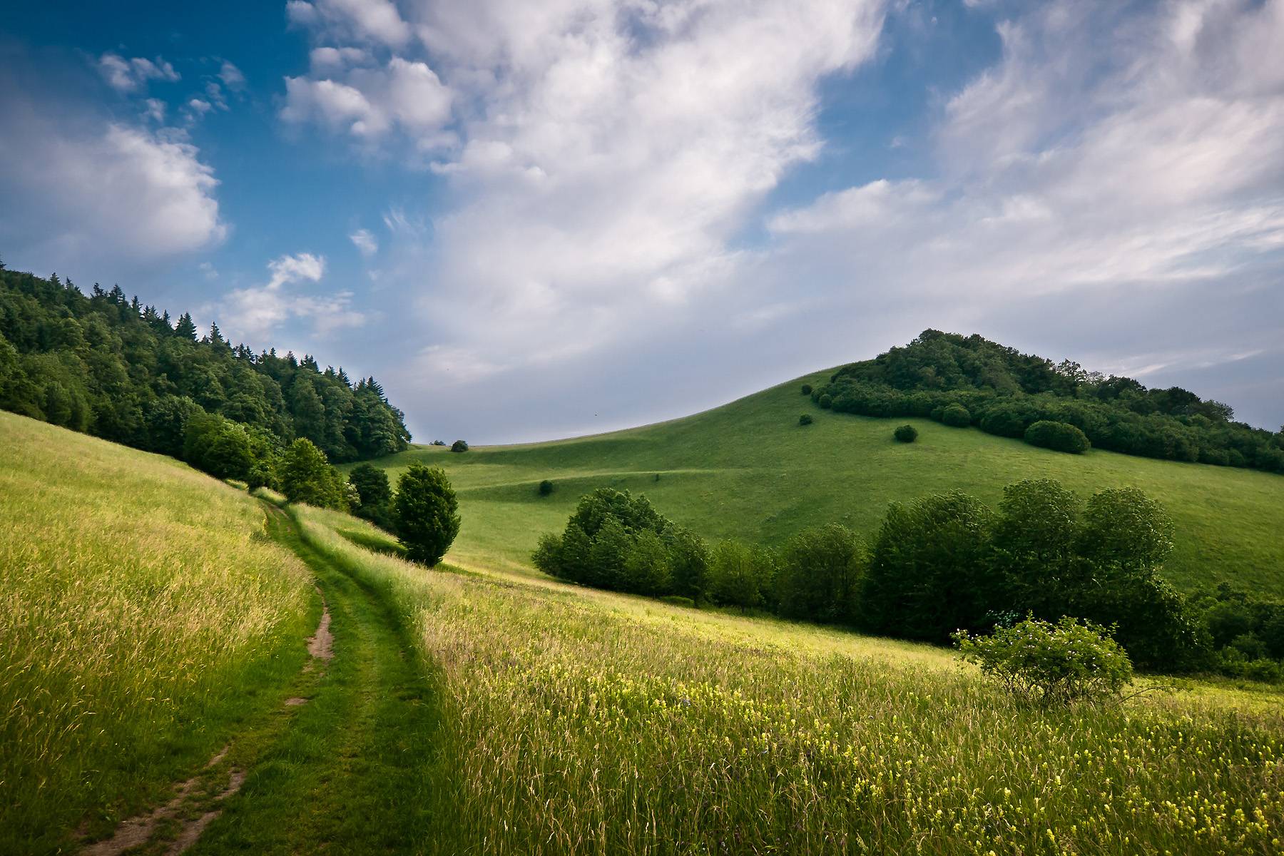 Celebrating Earth Day - In the spirit of Earth Day, which was on Sunday April 22, we're all thinking of ways to help our environment and reduce global warming. So here are ten ways that you can play your part in your own home.   (Photo: Courtesy GettyImages)