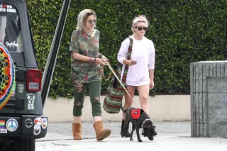 Paris Jackson - Paris Jackson&nbsp;was toned down and relaxed while arriving at a restaurant with her dog and a friend in Hollywood.&nbsp;(Photo: WENN.com)