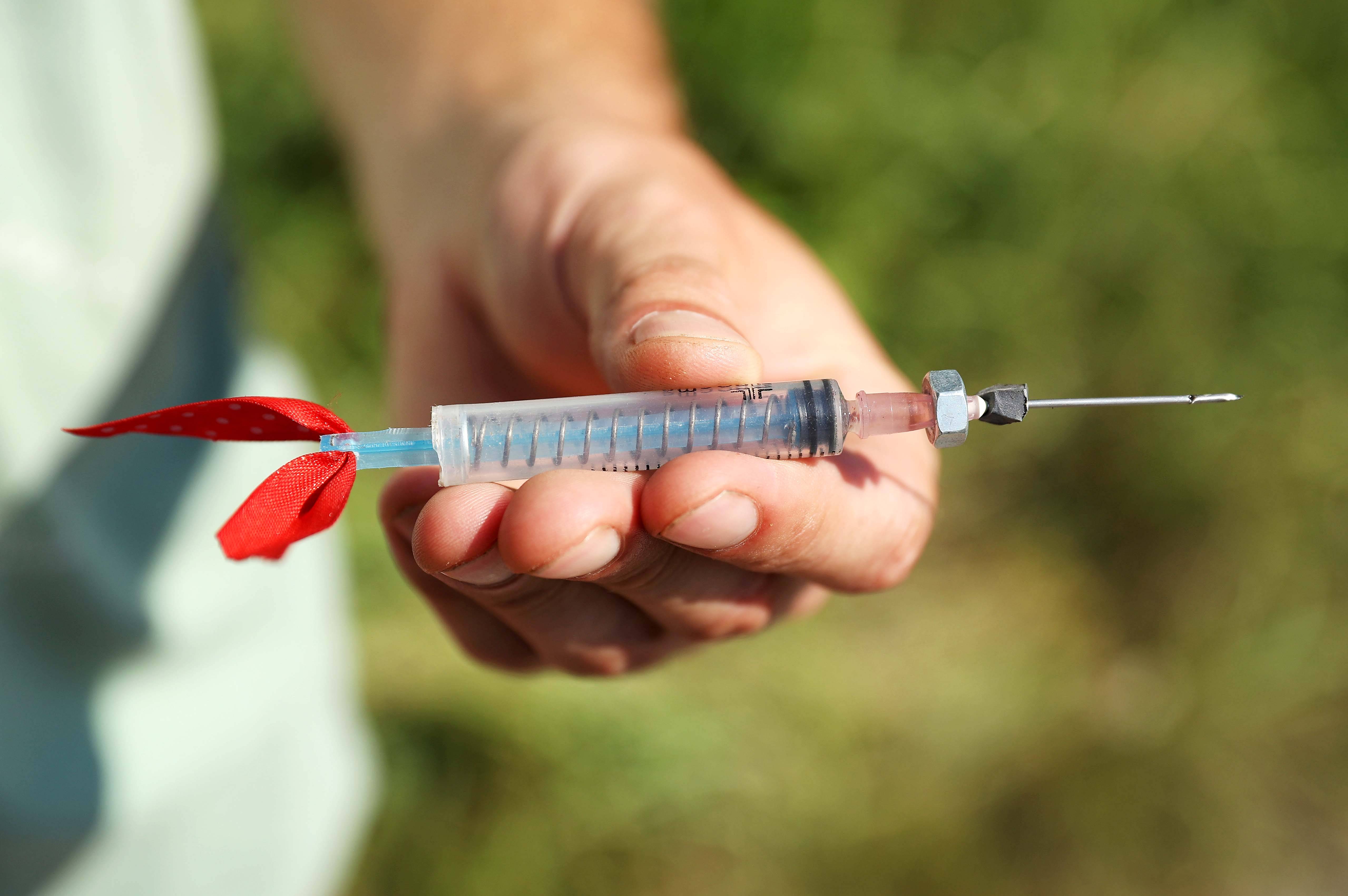 5 мм. инъекционные дротики для обездвиживания животных. усыпить дротиком. транквилизаторы для диких животных. усыпить дротиком.