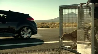 Hyundai: &quot;Cheetah&quot; - The ultimate test for one’s need for speed.&nbsp;(Photo: Hyundai)