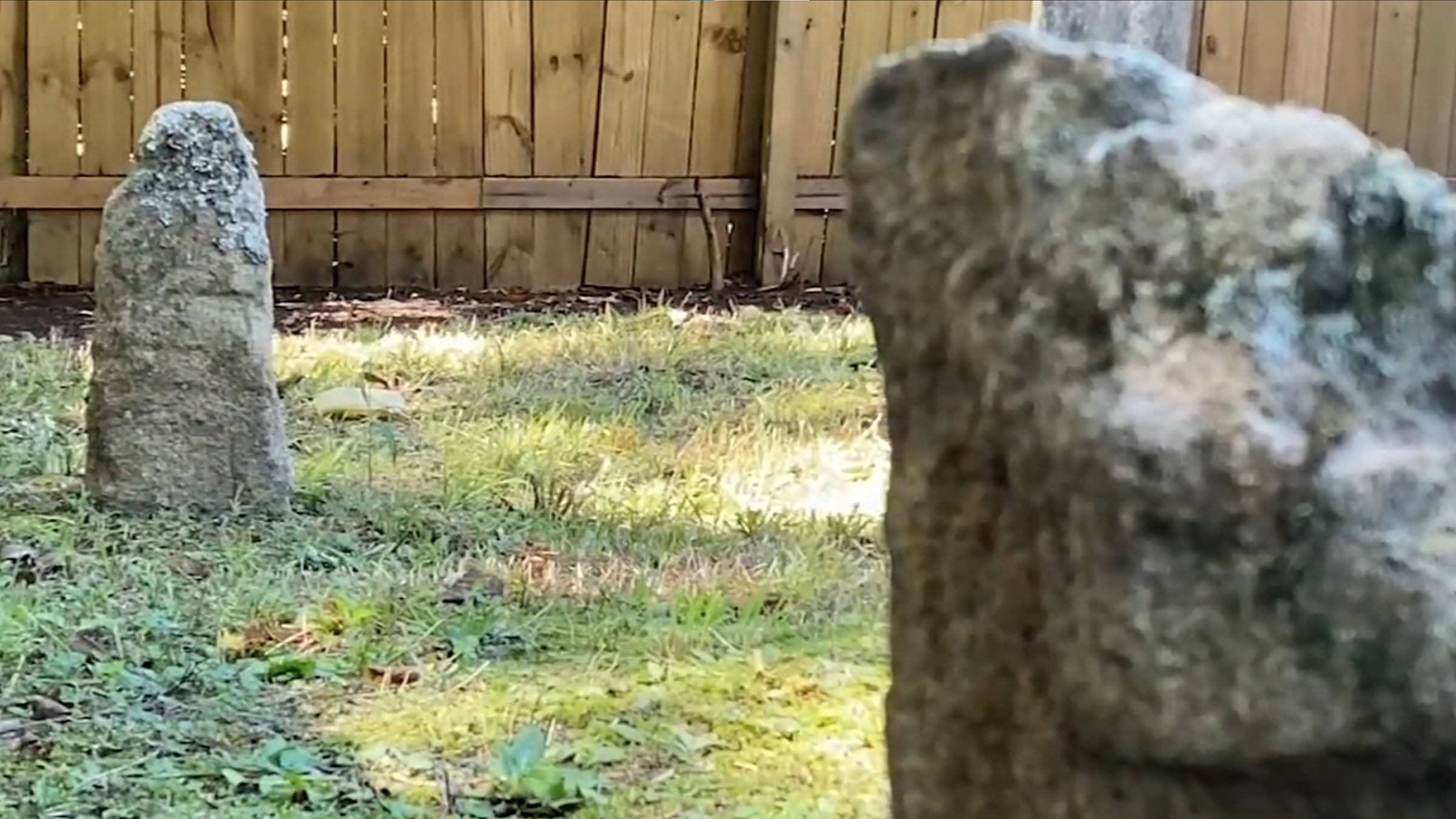 North Carolina Man Finds Graves Of Over 50 Enslaved People - Vimarsana News