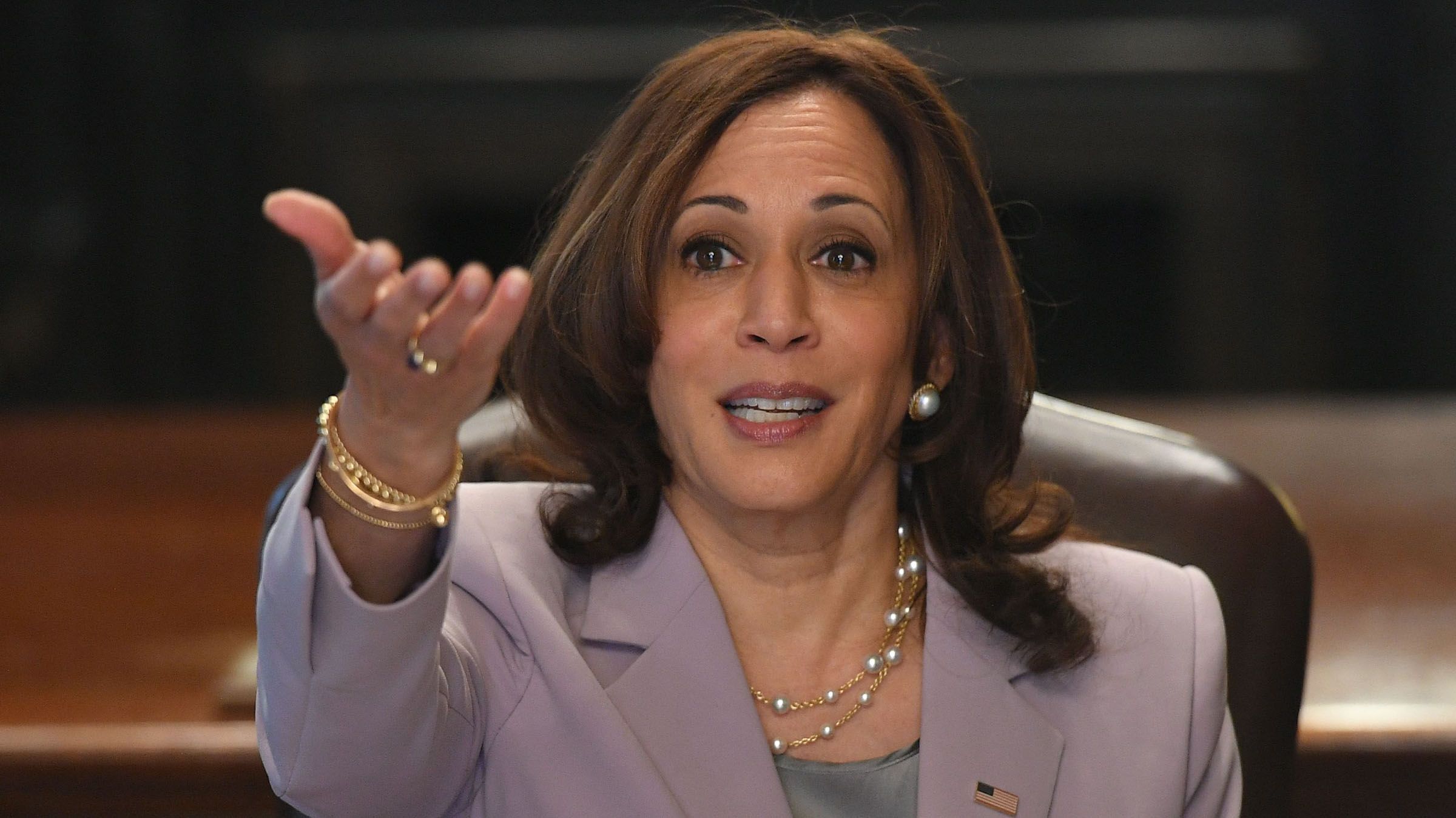 DeSantis Invites VP Harris To Debate Florida Black History Standards ...