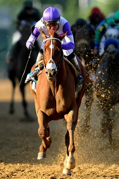 A Wild Pack of Horses Couldn’t Stop Him - Kentucky Derby winner I’ll Have Another blazed past top rival Bodemeister to win the 137th Preakness Stakes, the second leg of the Triple Crown, on Saturday at Pimlico Race Course in Baltimore. (Photo: Patrick Smith/Getty Images)