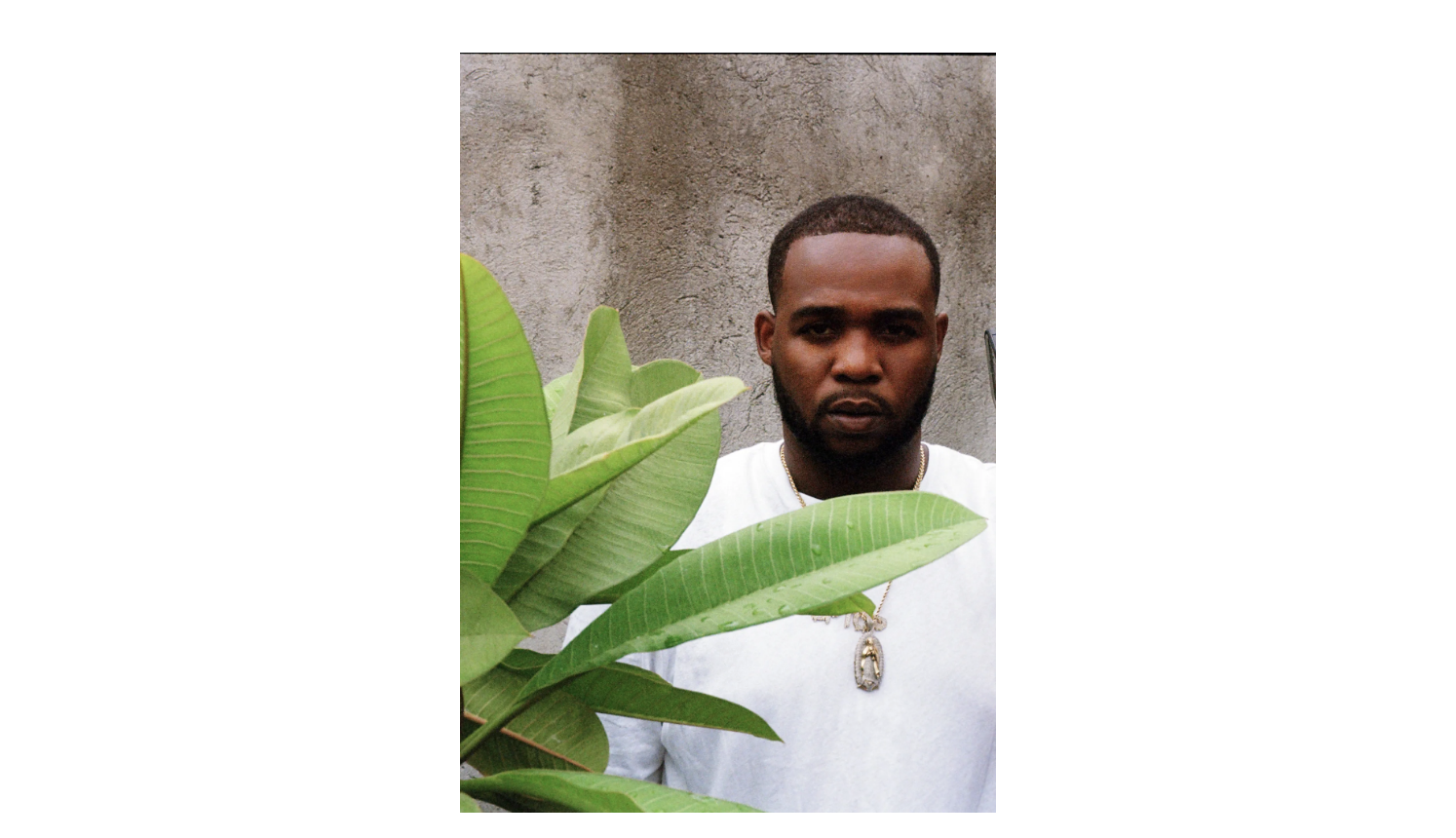 How TikTok 'Drifted' Teejay's Success Beyond Jamaica | News - Vimarsana News