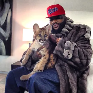 Rick Ross @richforever - Wearing a mink coat while petting a baby cheetah is just a typical look for MMG boss&nbsp;Rick Ross.(Photo: Rick Ross via Instagram)