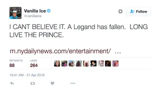 Vanilla Ice&nbsp; - Ice wishes Prince could live forever.(Photo: Vanilla Ice via Twitter)