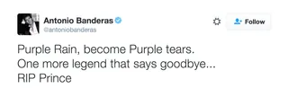 Antonio Banderas - People all over the world will be crying purple tears today. RIP Prince.(Photo: Antonio Banderas via Twitter)