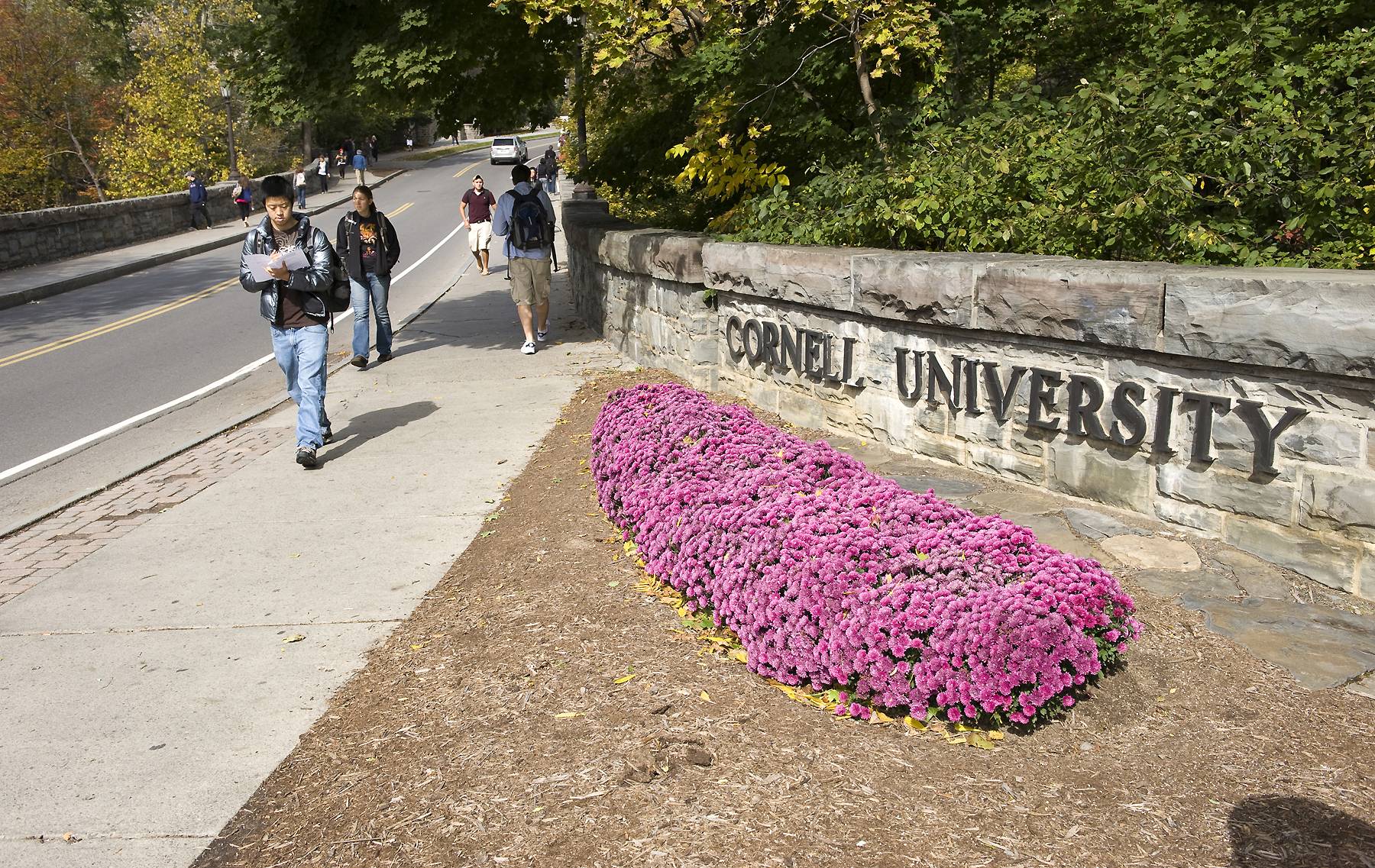 The Story Behind This Ithaca Sophomore Who Was Stabbed and Killed