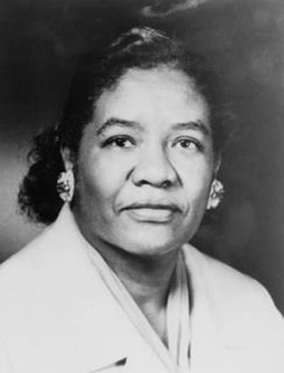 Dr.&nbsp;Dorothy Lavinia Brown&nbsp;(1919–2004) - Dr. Dorothy Lavinia Brown was the first African-American woman surgeon in the South. Despite being raised in an orphanage, Brown excelled also becoming the chief of surgery at Nashville's Riverside Hospital and the first Black woman fellow of the American College of Surgeons. Brown also was in politics, being the first Black woman to serve in the Tennessee legislature.&nbsp;(Photo: Courtesy of the U.S. Department of the Interior)