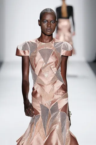 Zimmermann Spring 2014 - Gold mesh gives this classically structured dress an unexpected twist. Sheer genius!  (Photo: Joe Kohen/Getty Images for Mercedes-Benz Fashion Week)