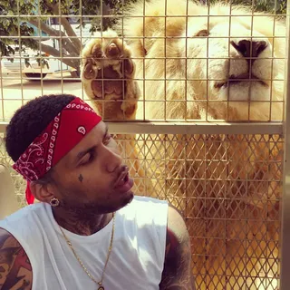 Lion's Heart - &quot;And I keep a team watching my back Ride or die watching my stacks If I throw it all in the air Promise she won't know how to act&quot; — &quot;Feels Good to Be Up&quot;  (Photo: Kid Ink via Instagram)