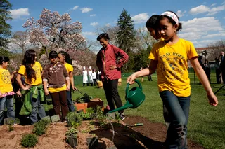 In the Garden - Even more planting. (Photo: Official White House Photo by Samantha Appleton)
