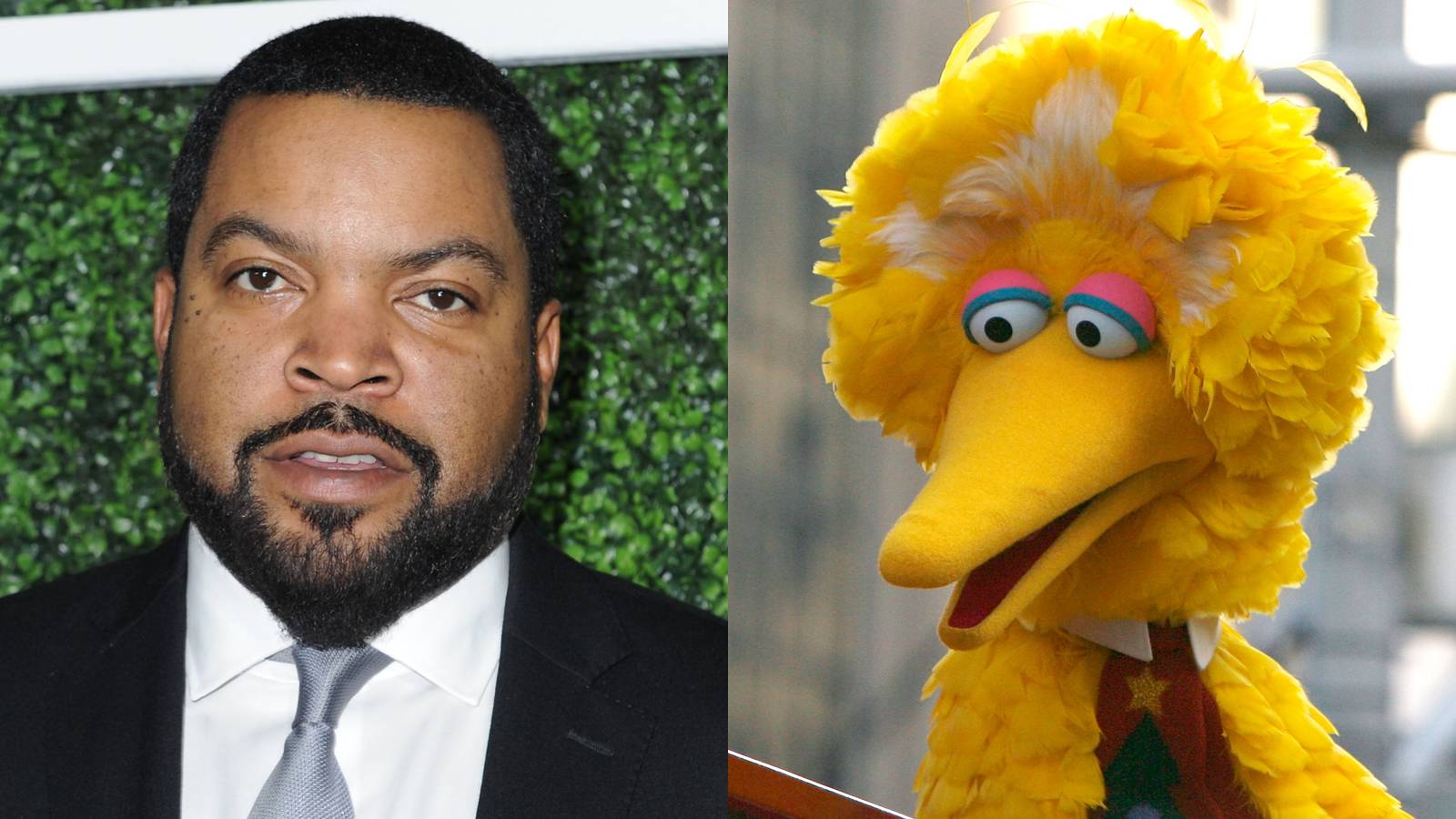 'Ghetto Bird' – Ice - Image 14 from 20 Mashups Of The Muppets Rapping ...