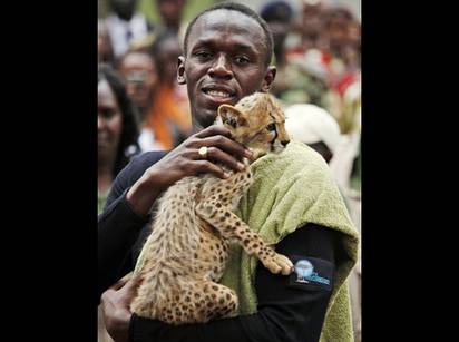 Cheetah Pet - Champion - Image 6 from World Lens: Week of November 2 | BET