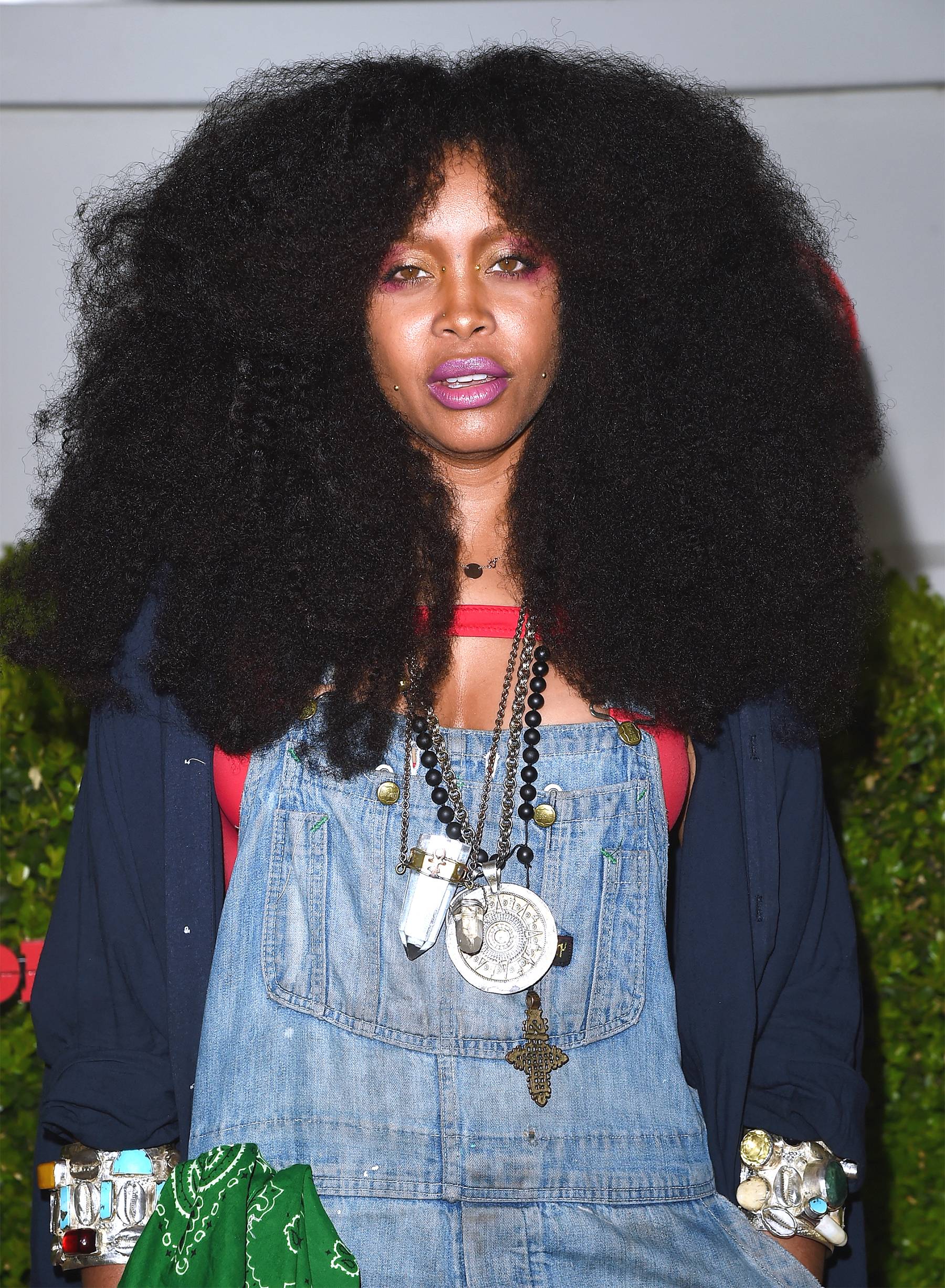 Erykah Badu - Miss - Image 16 from Schooled: Celebs Who Could Be ...