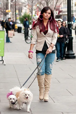 Jersey City Dog-Walker - JWoww took a stroll in her new Jersey City neighborhood to walk her dogs. They're cute aren't they?(Photo: PacificCoastNews.com)