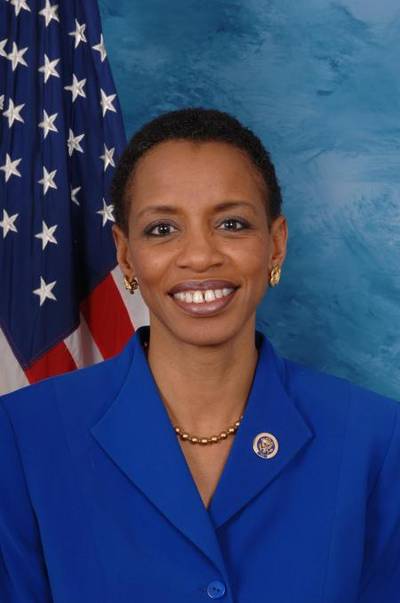 Rep. Donna Edwards (Maryland) - Dr. Martin Luther King Jr. leaves a legacy that will be remembered for generations as the standard for humility and commitment to social justice. With the unveiling of the King Memorial, we mark as a nation his impact and the strength and lasting truth of his service and his message. I am grateful that this memorial will serve as a poignant reminder of the importance of promoting equality and social justice for generations to come.(Photo: www.donnaedwards.house.gov)