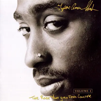 The Rose That Grew From Concrete - Published three years after his death, this collection of poems that&nbsp;Tupac wrote in high school is a revealing look into the mind of a budding lyrical genius.(Photo: Courtesy of MTV Press)