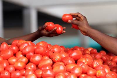 Tomatoes - Loaded with vitamins C, K, and B6, niacin, potassium and the antioxidant lycopene, tomatoes can lower your risk for heart disease and certain cancers, improve vision and lower &quot;bad&quot; cholesterol. Add them to your salads, sauté them with spinach or eat them in slices for breakfast. (Photo: REUTERS/ Thierry Gouegnon /Landov)