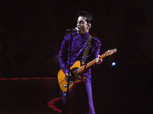 Prince - Prince took the stage with the Florida A&M University Marching Band for the Halftime Show of Super Bowl  XLI in '07. He performed classics like &quot;Purple Rain&quot; and &quot;Let's Go Crazy.&quot;