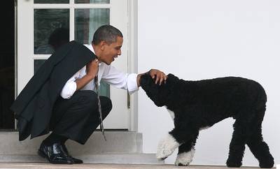 Bo Obama - Of all his close pals, it's unlikely that anyone holds a candle to the Obama family dog, Bo. From keeping him company in the Oval Office to casual strolls around the White House grounds, Bo has certainly earned his title as man's best friend. (Photo: Martin H. Simon-Pool/Getty Images)