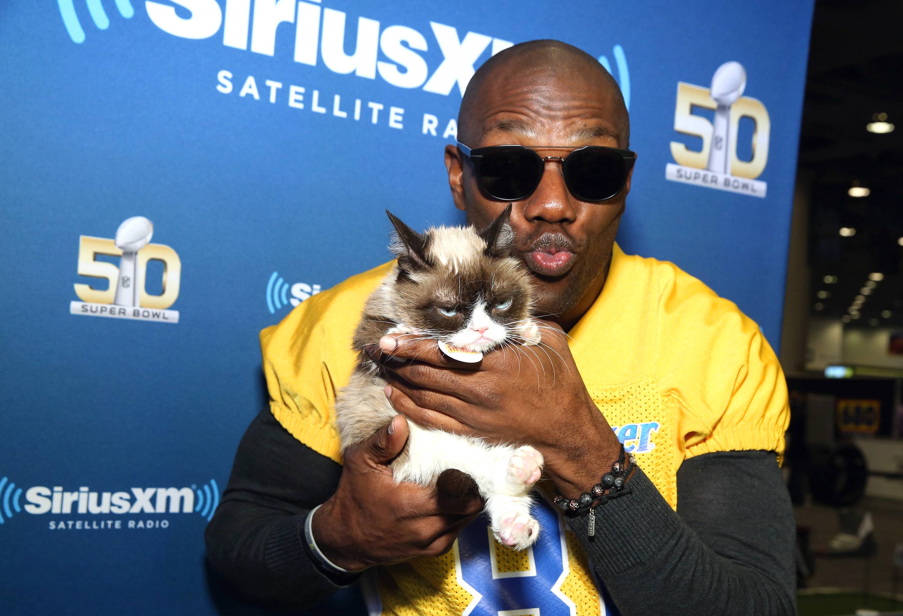 Grumpy Cat endorses Carolina Panthers for Super Bowl win