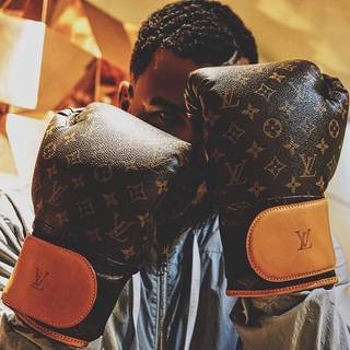 Custom LV boxing gloves  Custom sneakers, Boxing gloves, Louis vuitton