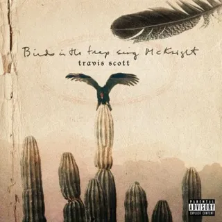 Birds in the Trap Sing McKnight  - Travis Scott earned his first No. 1 on the Billboard 200 Chart for his album Birds in the Trap Sing McKnight. Congrats! (Photo:&nbsp;Grand Hustle Records,&nbsp;Epic Records)
