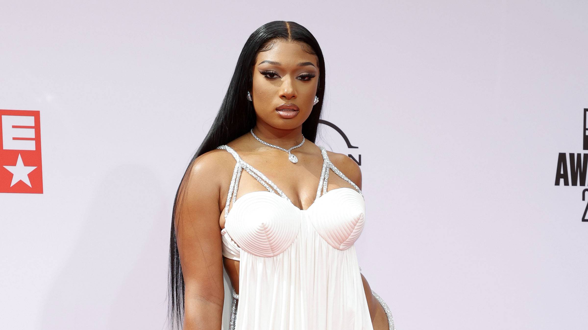 Megan Thee Stallion sues her record label and its head Carl