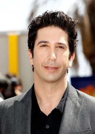 David Schwimmer - From Friends to Madagascar, we must say that David is still cookin'!(Photo: Andreas Rentz/Getty Images)