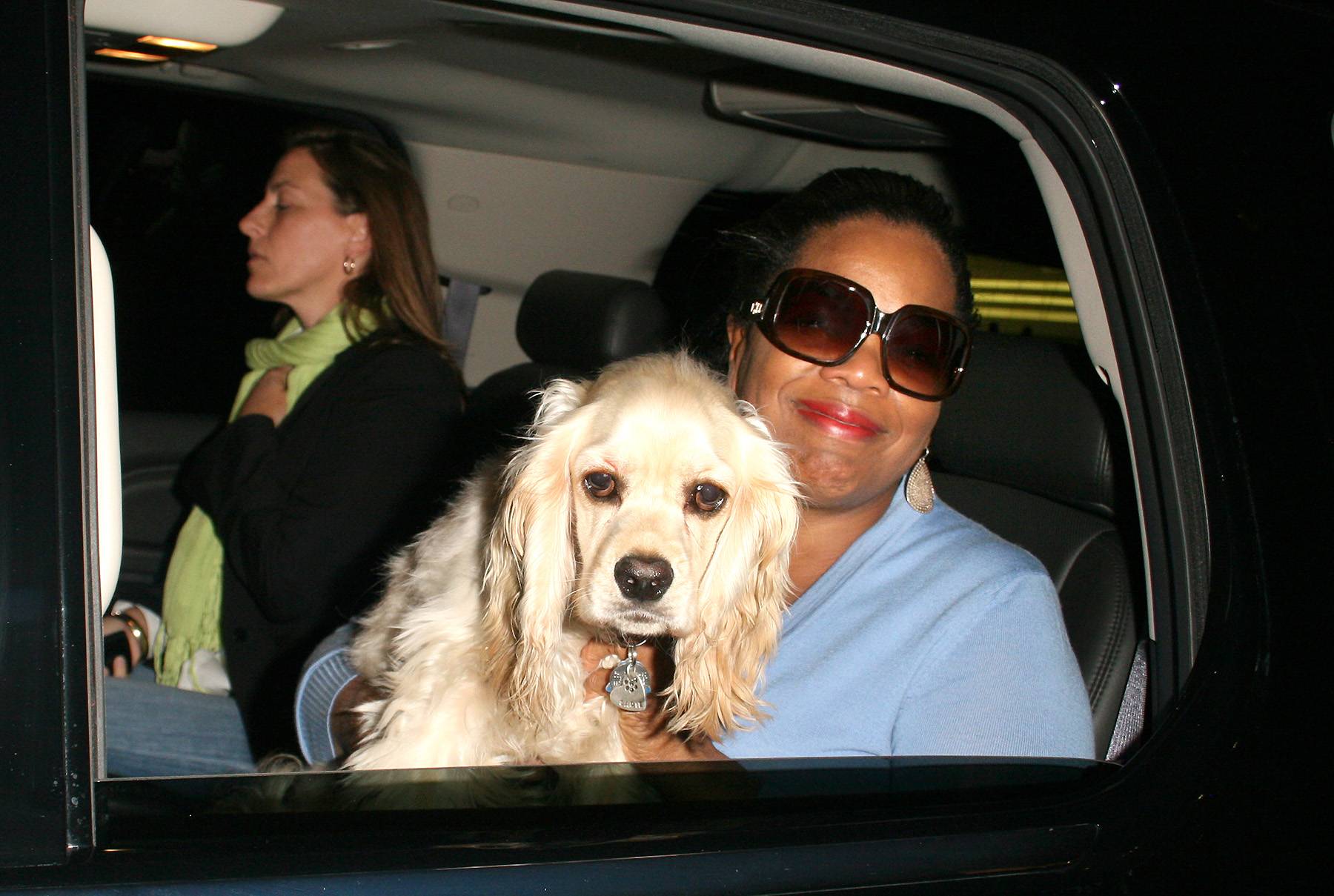 See How Oprah Handled Her Dog Being Afraid Of A Private Jet Flight | News |  Bet