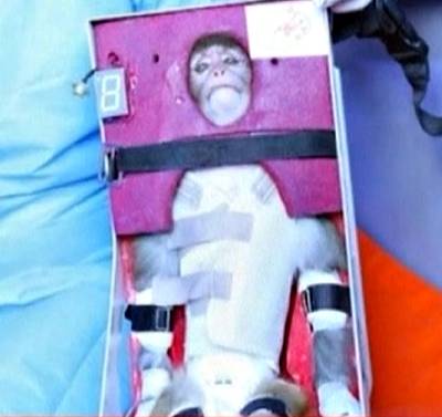Iran Sends Monkey to Space - Iran successfully launched a live monkey into space, the state news agency IRNA reported. The launch was said to coincide &quot;with the days of&quot; the Prophet Mohammad's birthday last week.&nbsp; (Photo: REUTERS/Press TV via Reuters TV)