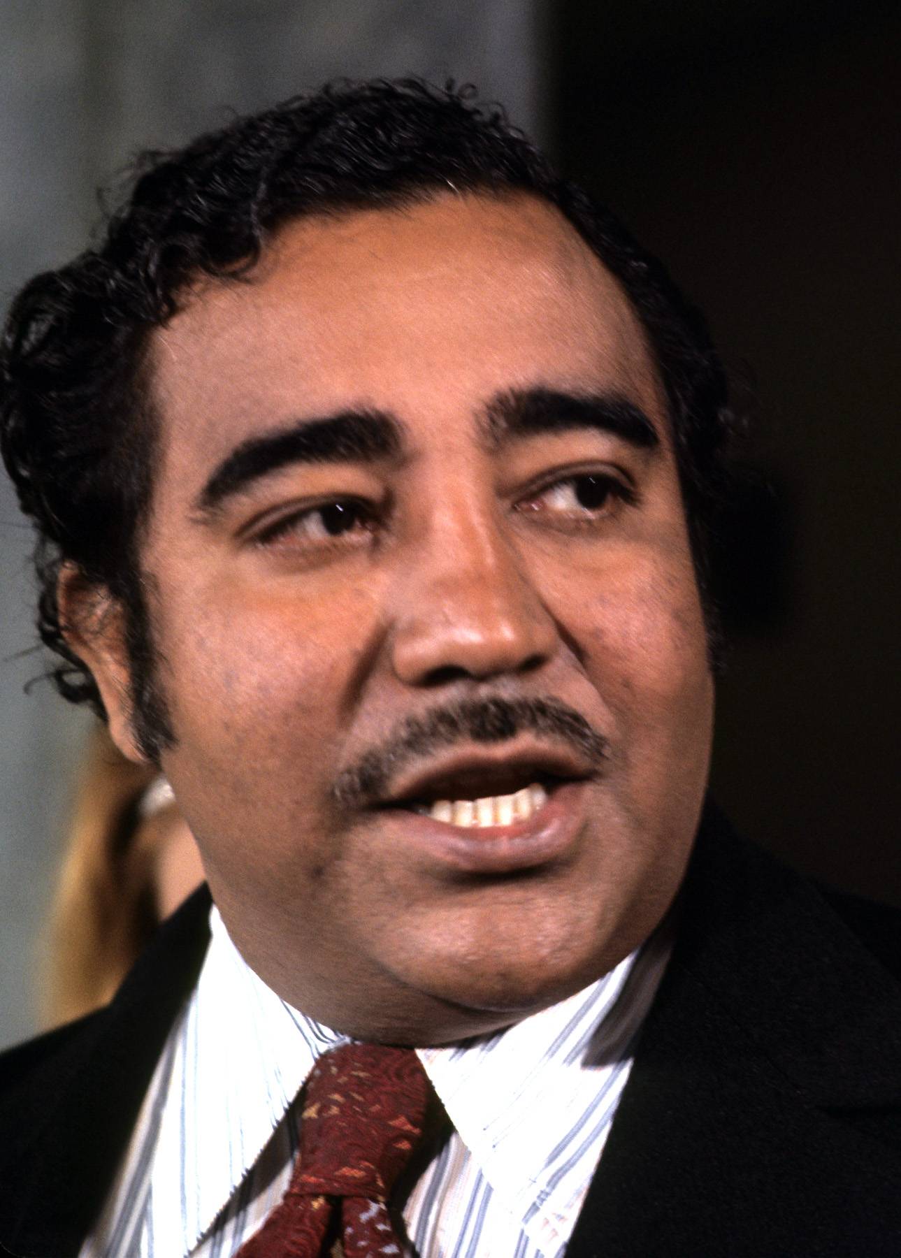 Rep. Charles Rangel (New - Image 7 from The March on Washington: Then ...