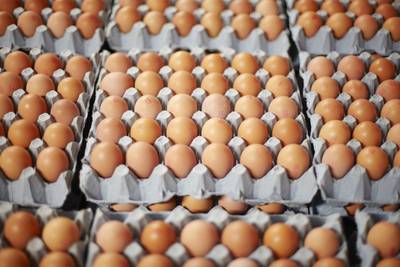 Eggs - Packed with a ton of protein, eggs are great for energy. And cooking them comes with tons of versatility: You can poach, scramble, fry or boil them for a meal or a snack.(photo: Oil Kellett/Getty Images)